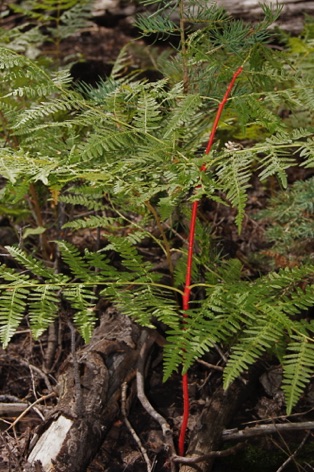 20110910_north rim_solo_jg_jg_0042.JPG 20110910_north rim_solo_jg_jg_0042.JPG